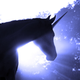Image for article titled Did Unicorns Ever Exist?